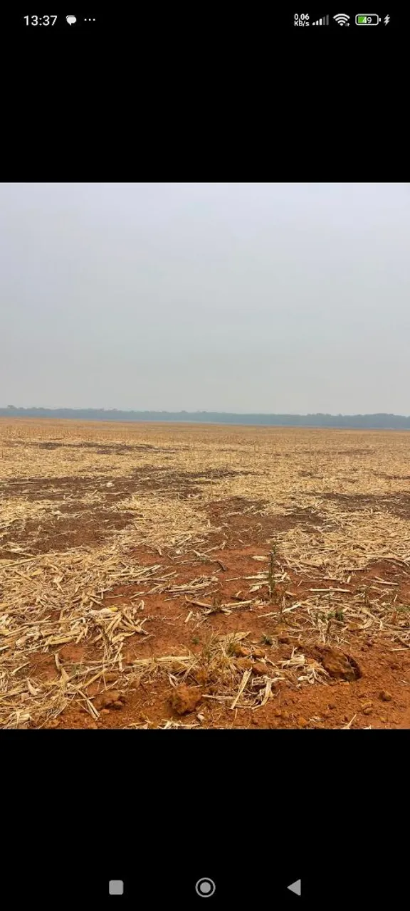 Fazenda de arrendamento 2.550 hec em Água Boa MT. Grade na descrição