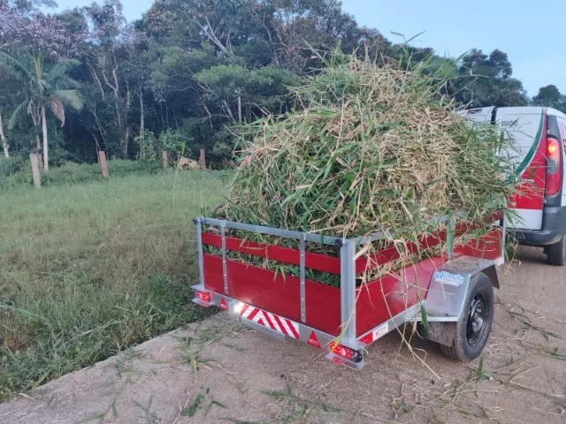 Carretinha reforçada direto da fábrica com nota e garantia - pronta entrega
