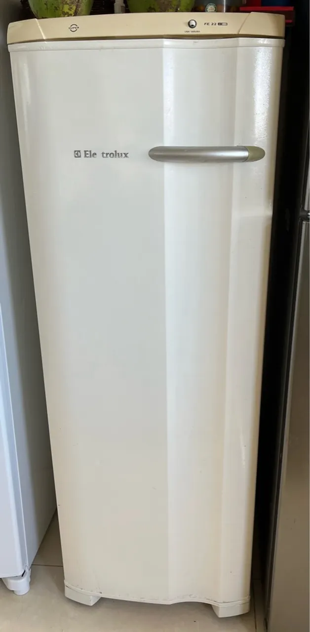 Freezer Vertical Electrolux FE22 173L