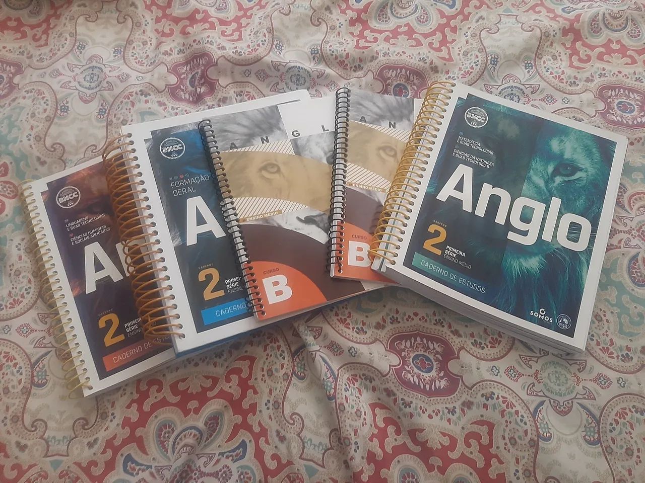 Módulos Anglo 1° Ano ensino médio  - Foto 2