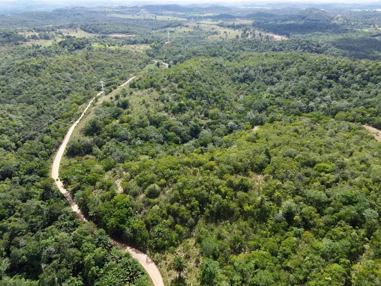 Fazenda de 70 Hectares em Candeias - Bahia