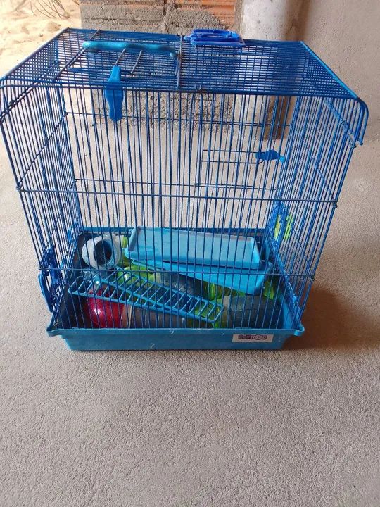 Gaiola para Roedores - Azul