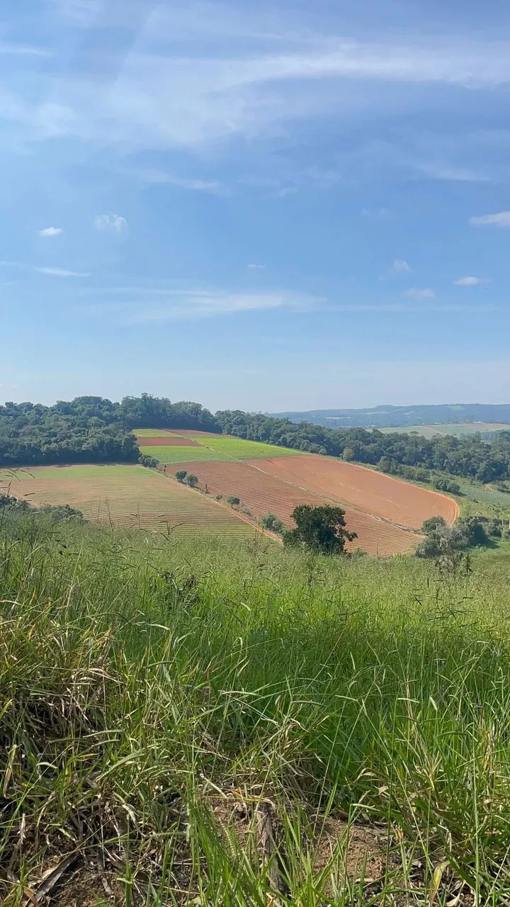 Imóvel para venda possui 500 metros quadrados em Cachoeira - Ibiúna - SP - Foto 4