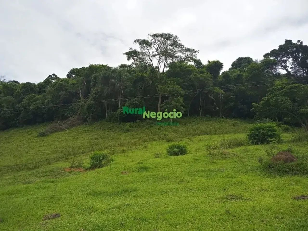SÍTIO MARGEADO PELA REPRESA DE FURNAS EM RESENDE-RJ - Foto 4