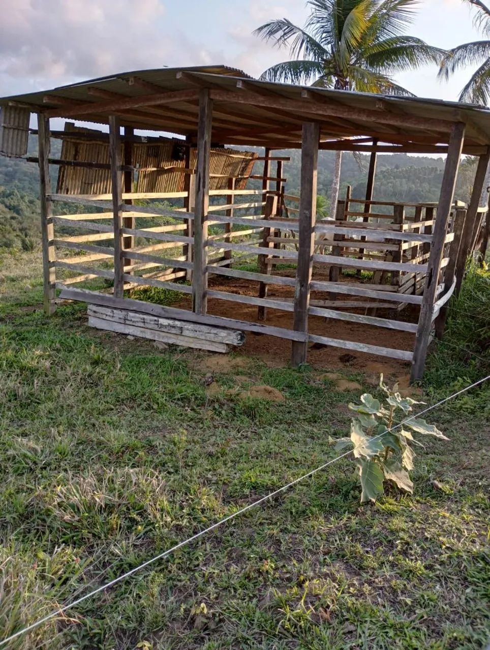 Vendo excelente sítio em Valença Bahia  - Foto 2
