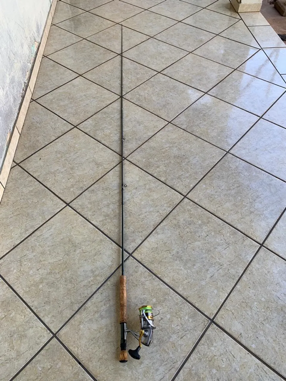 Vara de pesca com molinete