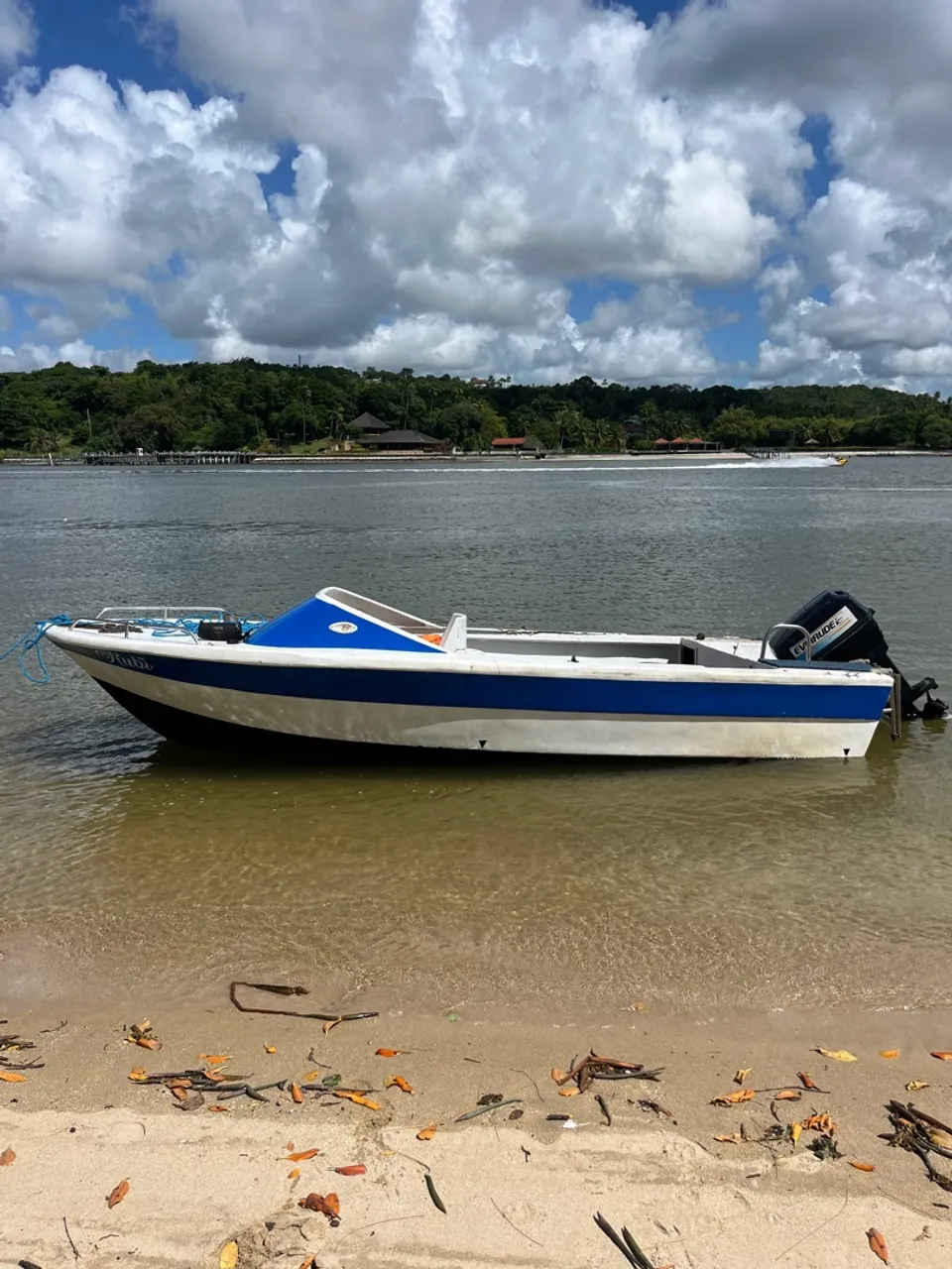 Lancha Barco 16 pés motor Evinrude 50 hp