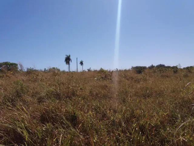 Fazenda 60km de Palmas