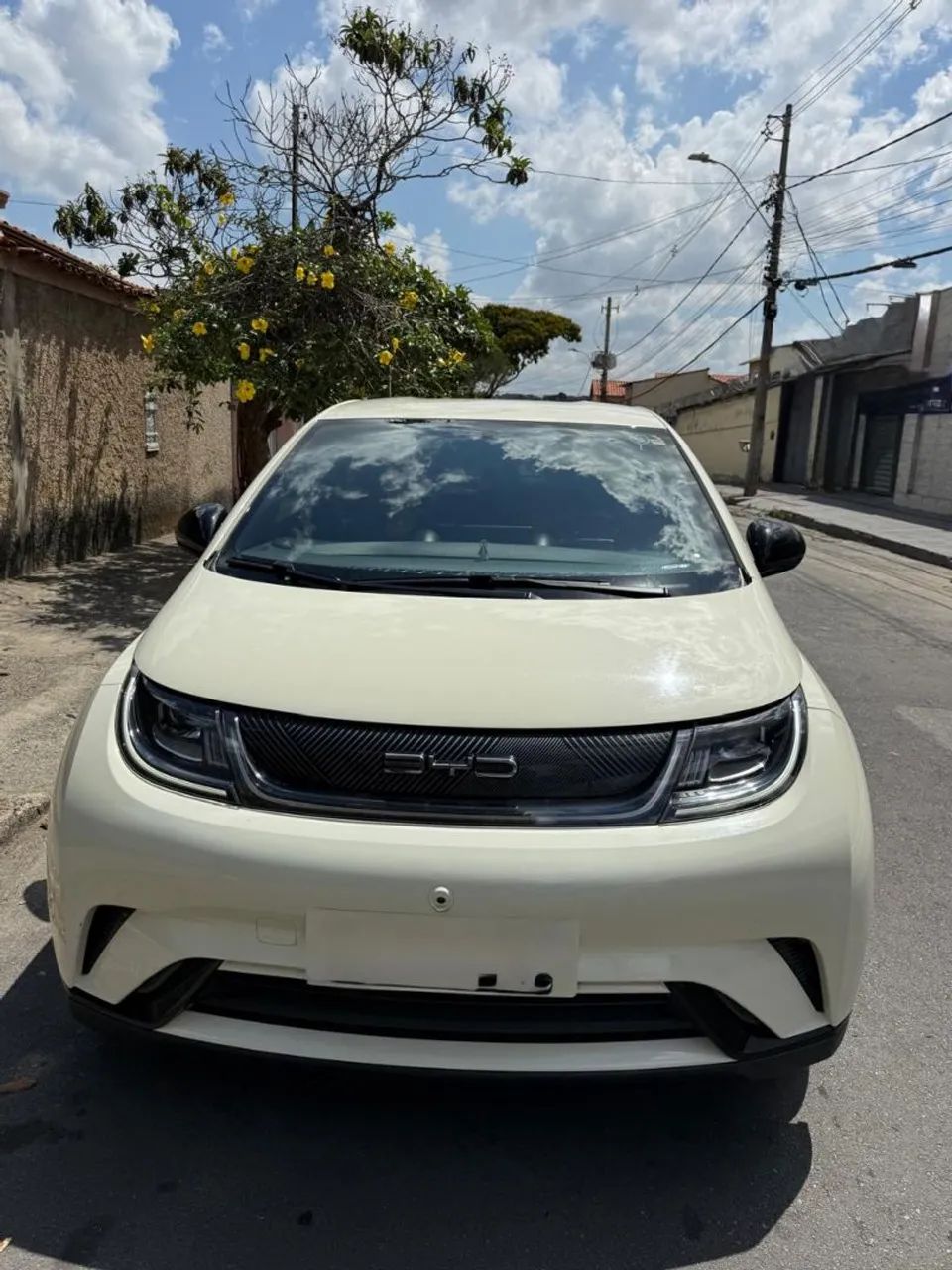 BYD Dolphin EV (Elétrico) 2024 - Foto 4