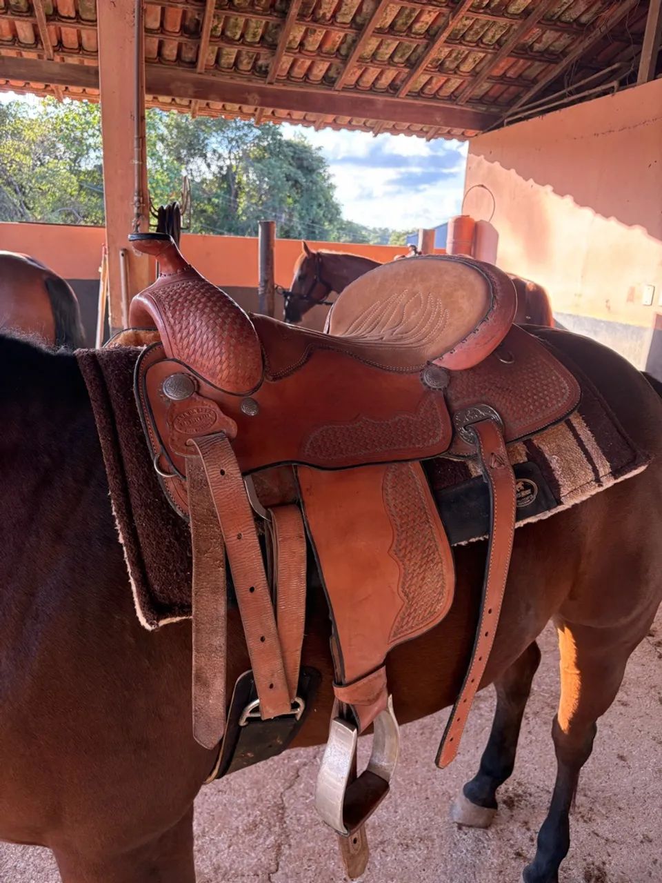 Sela de ranch sorting  - Foto 4