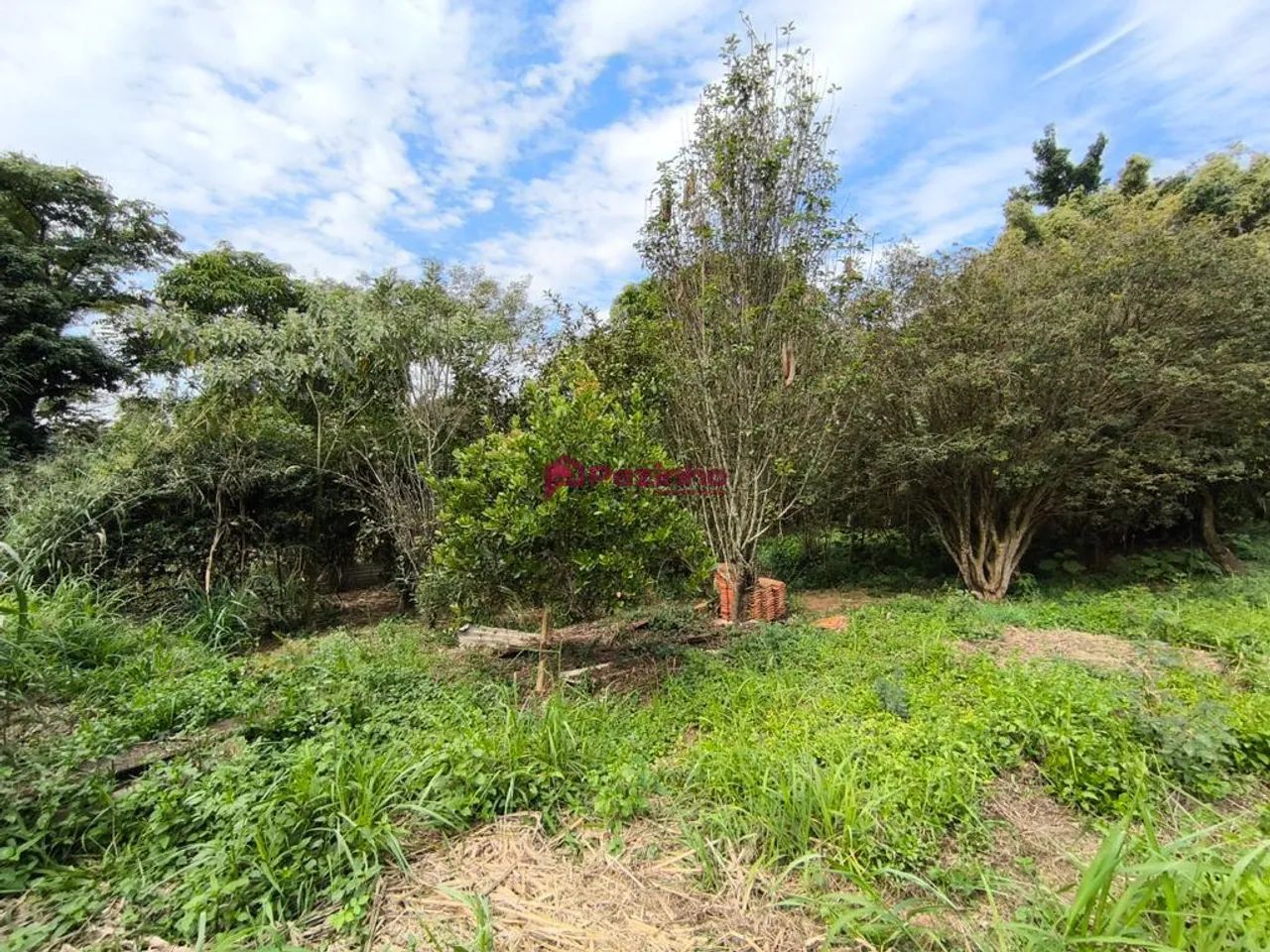 Chácara à venda em Limeira, Chacara Pires De Baixo, com 1 quarto, com 1000 m², Condominio 