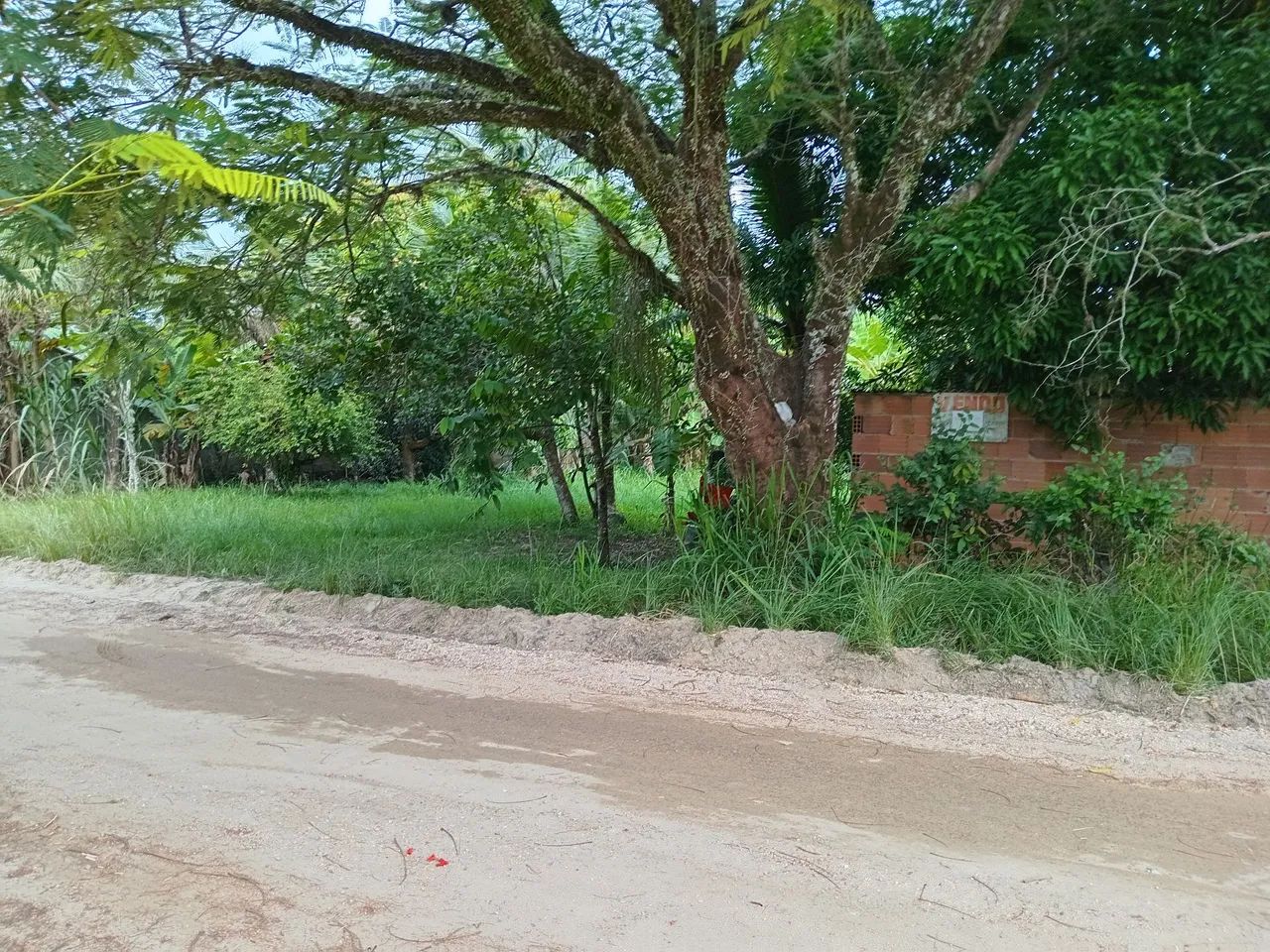 Foto - Rio Bonito - 