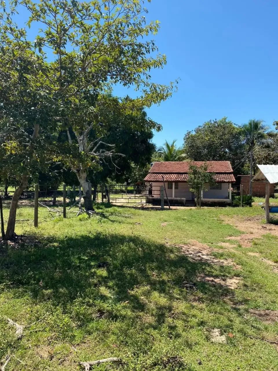Fazenda a venda em Crixas / Goiás - Foto 4