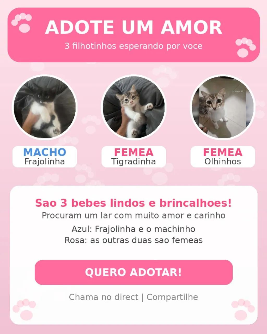 DOAÇÃO 