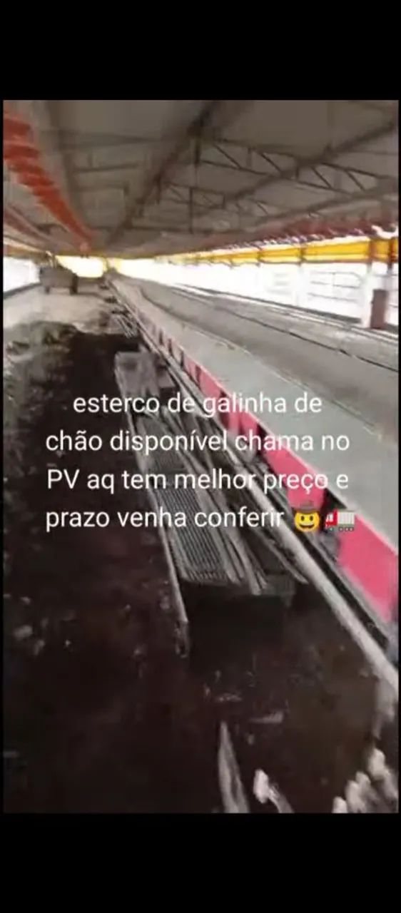 Esterco de galinha e frango bem curtido e seco  - Foto 3