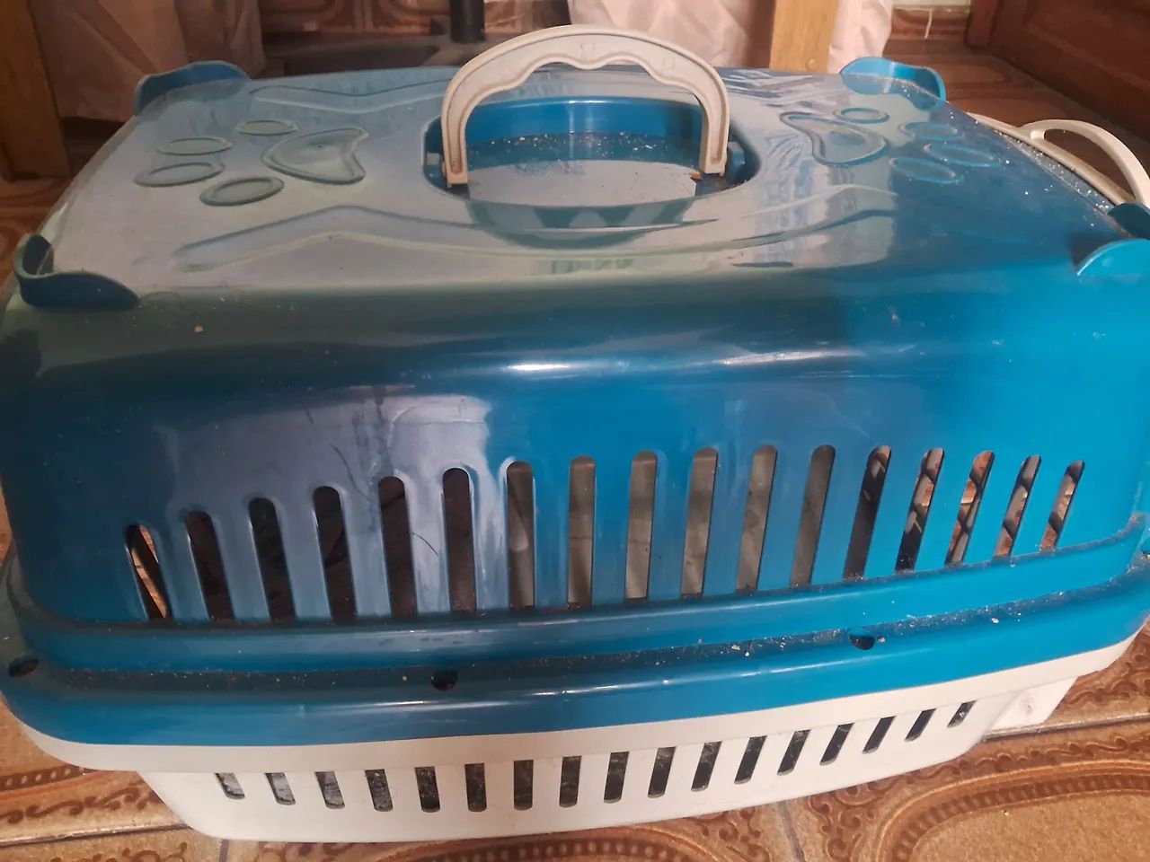 Transporte Pet - Foto 3