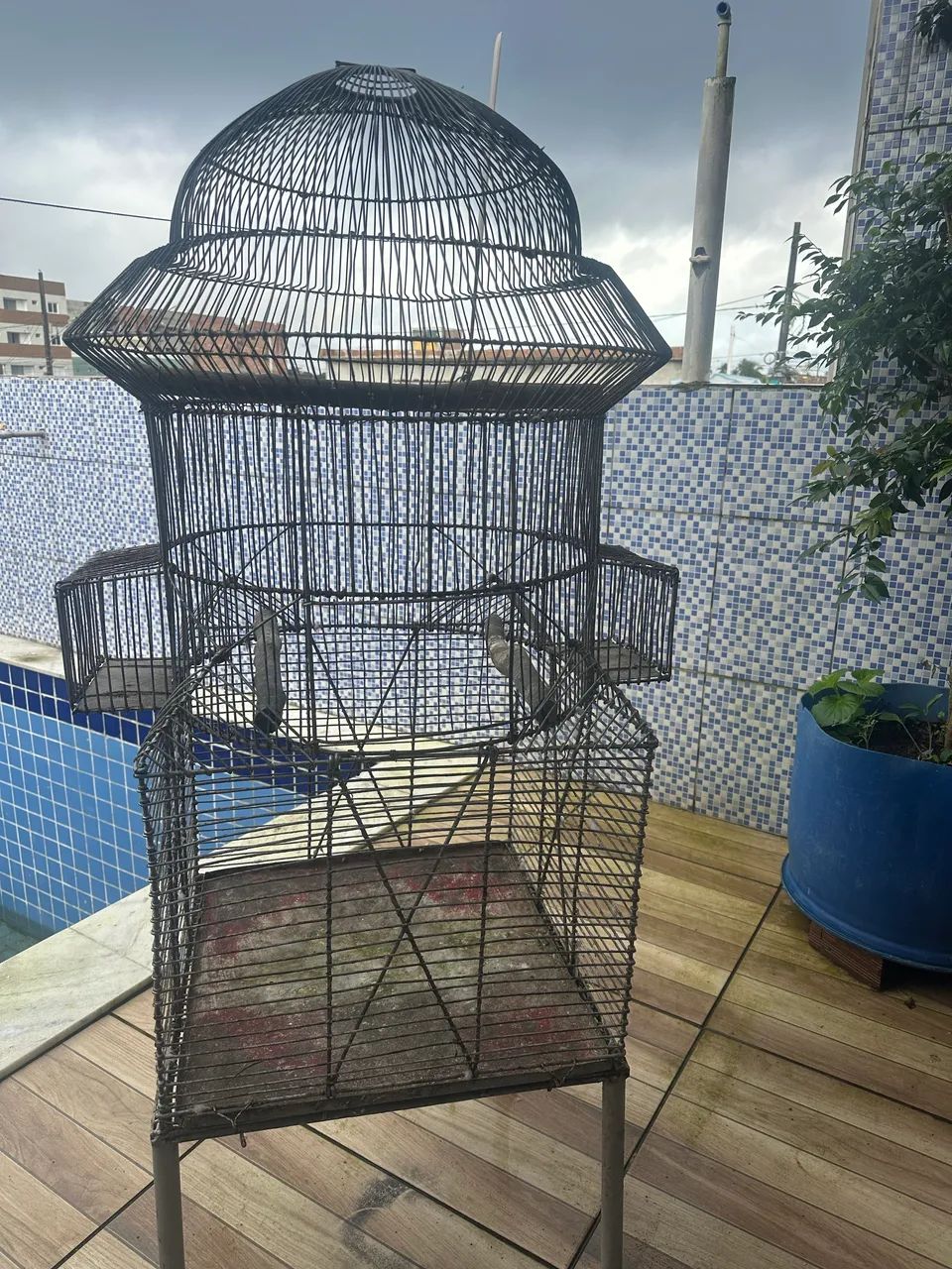 Gaiola