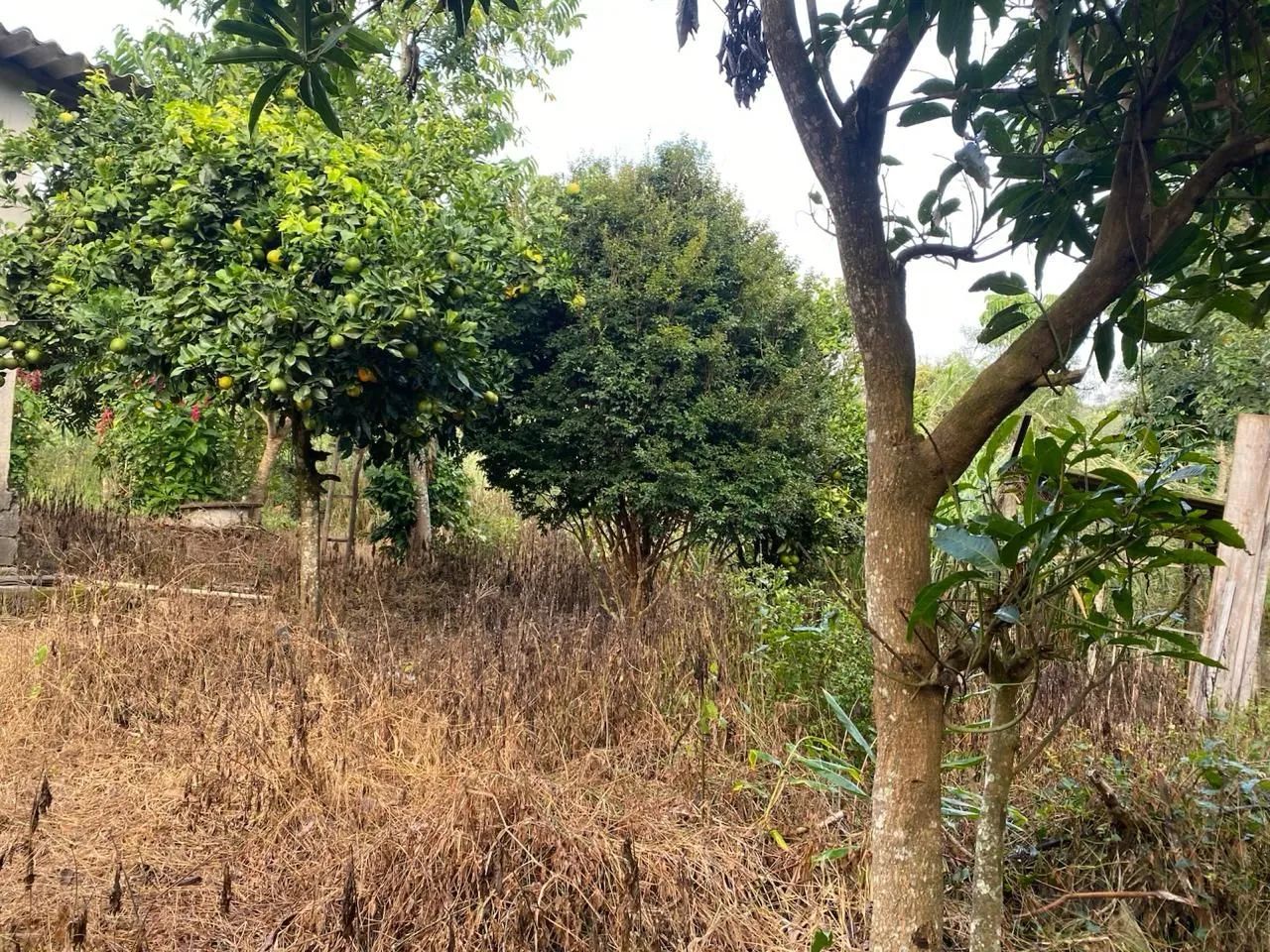 Vende se chácara em Rio manso Mg - Foto 2