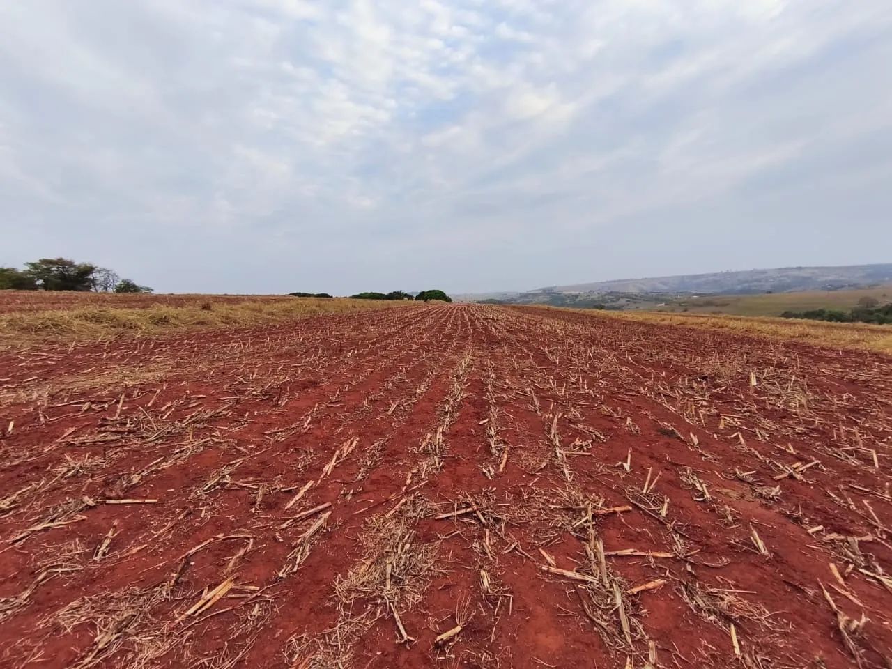 Fazenda à Venda  - Foto 5
