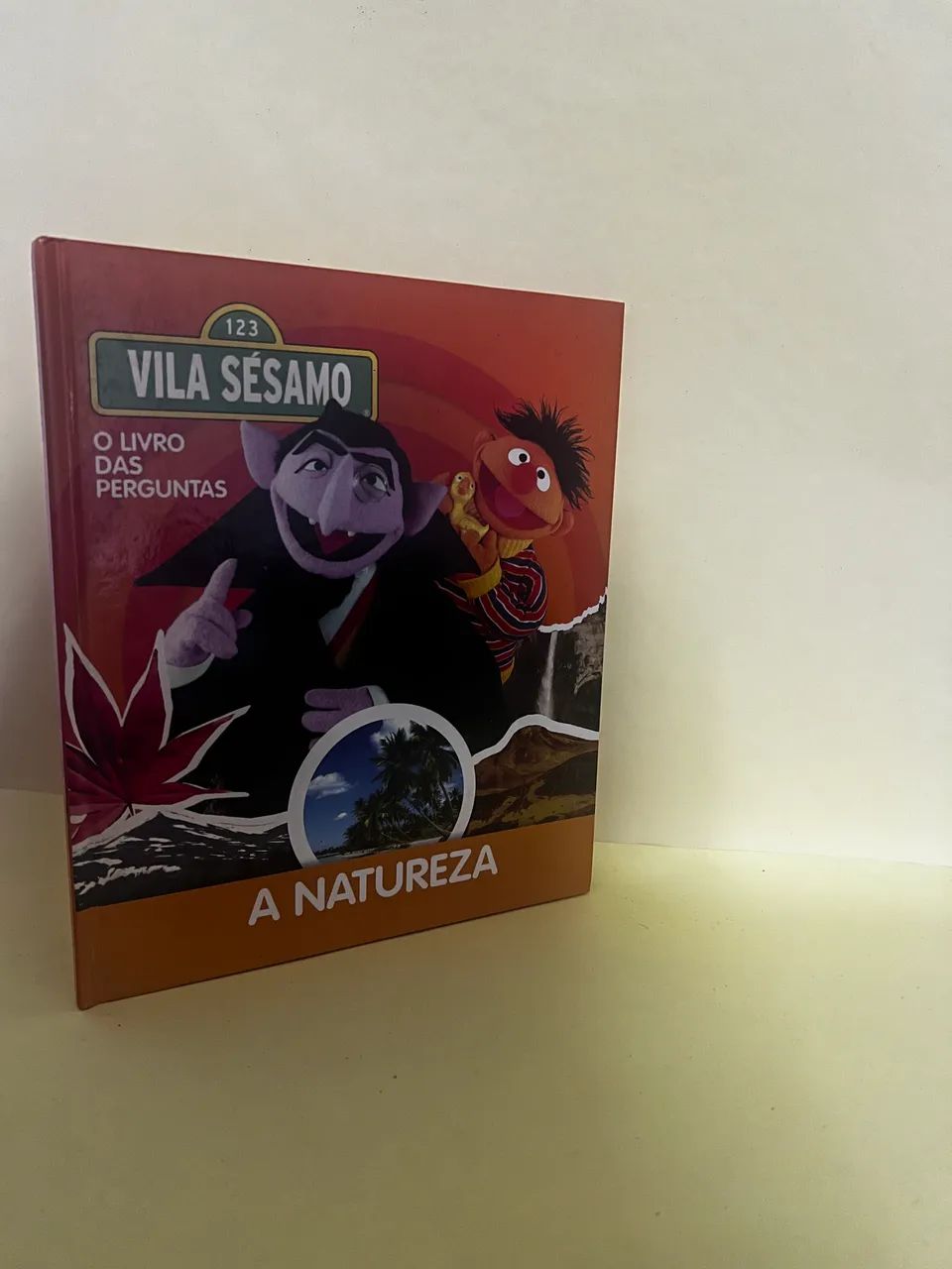Livro vila sésamo 