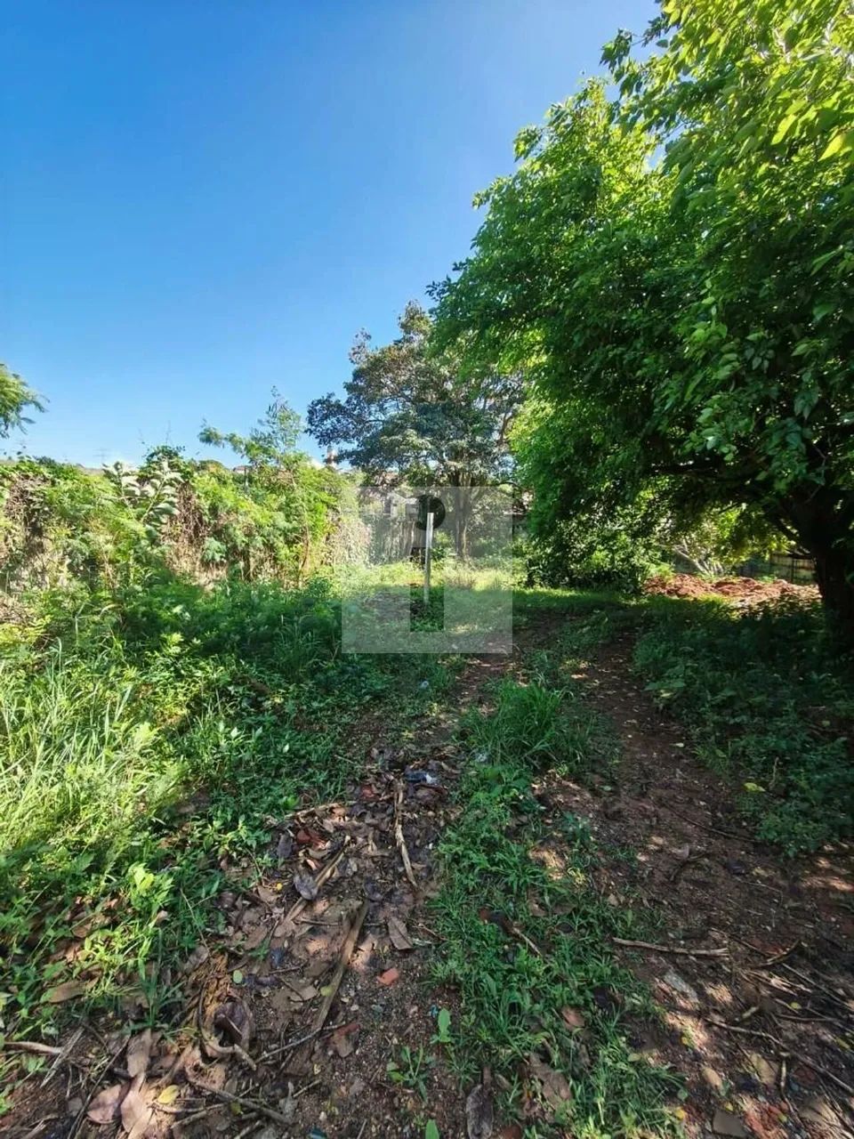 TERRENO PLANO A VENDA EN SOUSAS - 541M² - Foto 5
