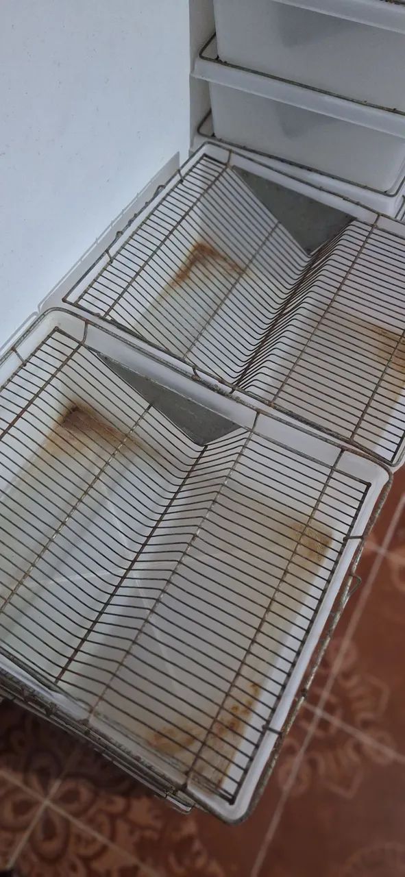 Caixa biotério para hamster e ratos mercol/twister  - Foto 2