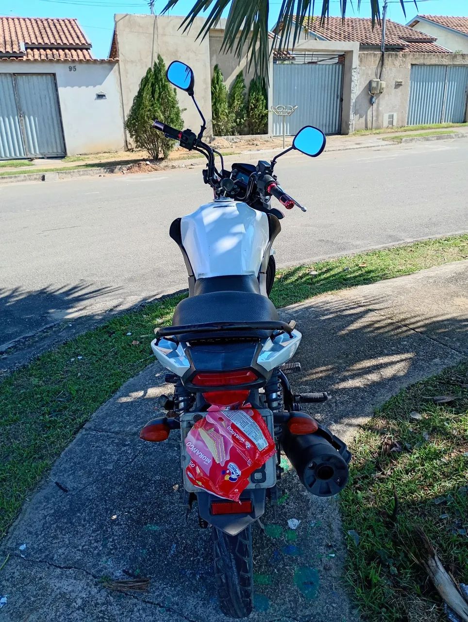 Esta no 2026 - Foto 3