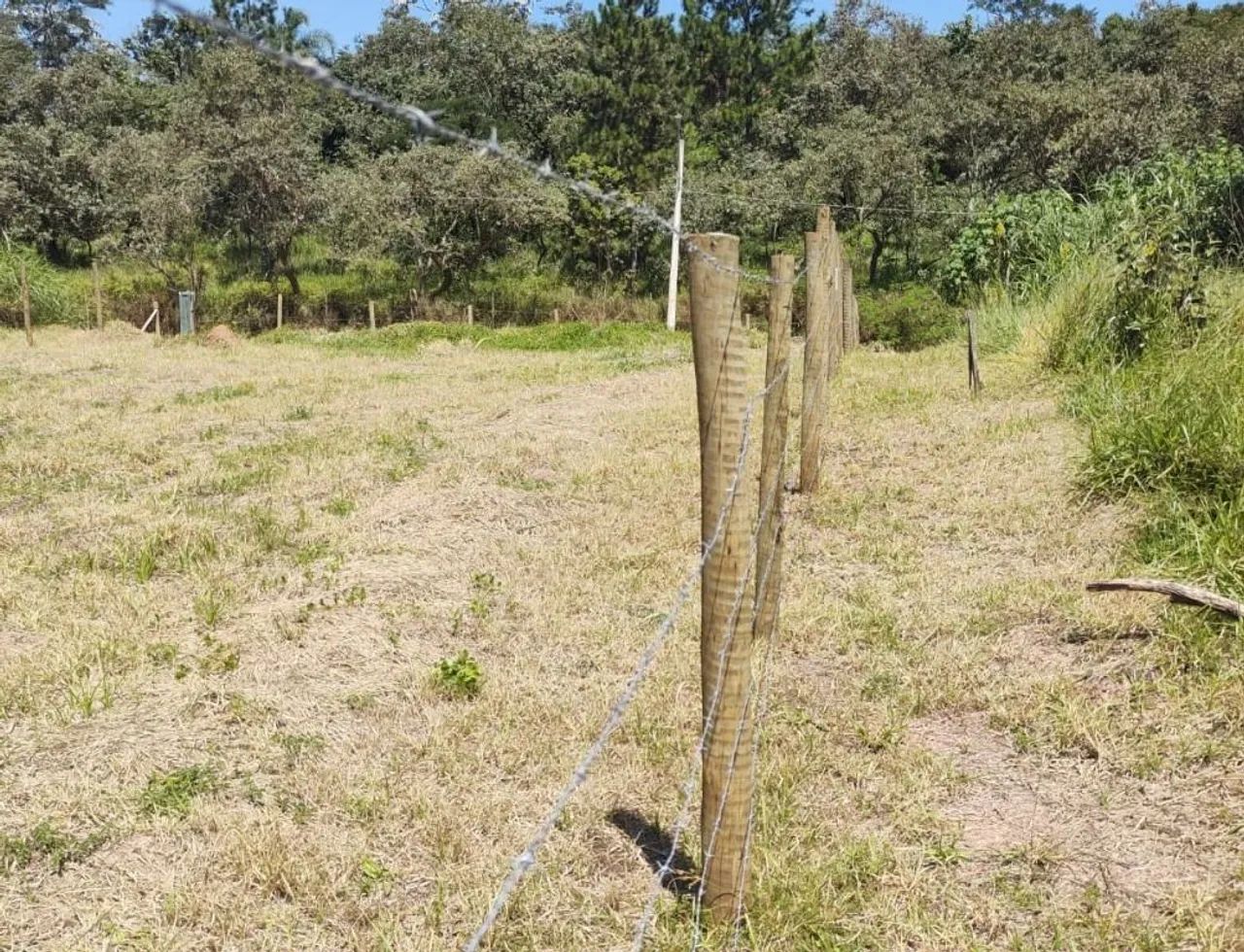 Terreno para galpão em Cotia - Foto 4