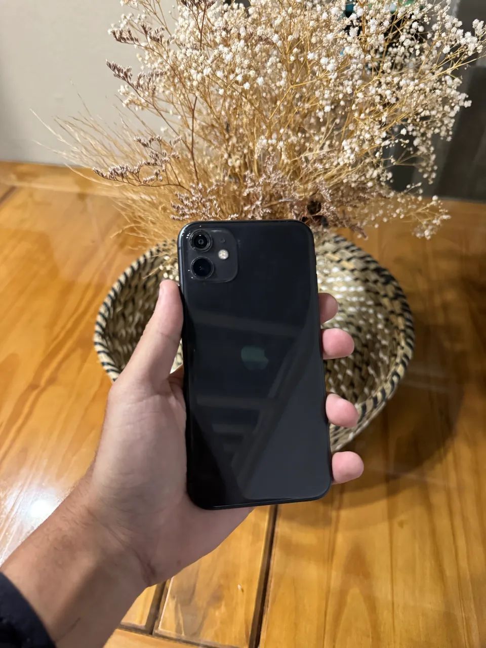 iPhone 11 (Bateria 100%)