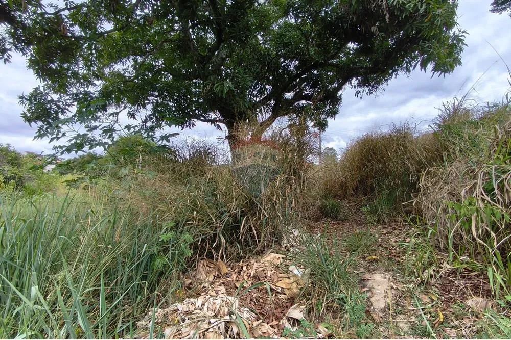 Terreno no Centro de Ribeirão Vermelho - Foto 4