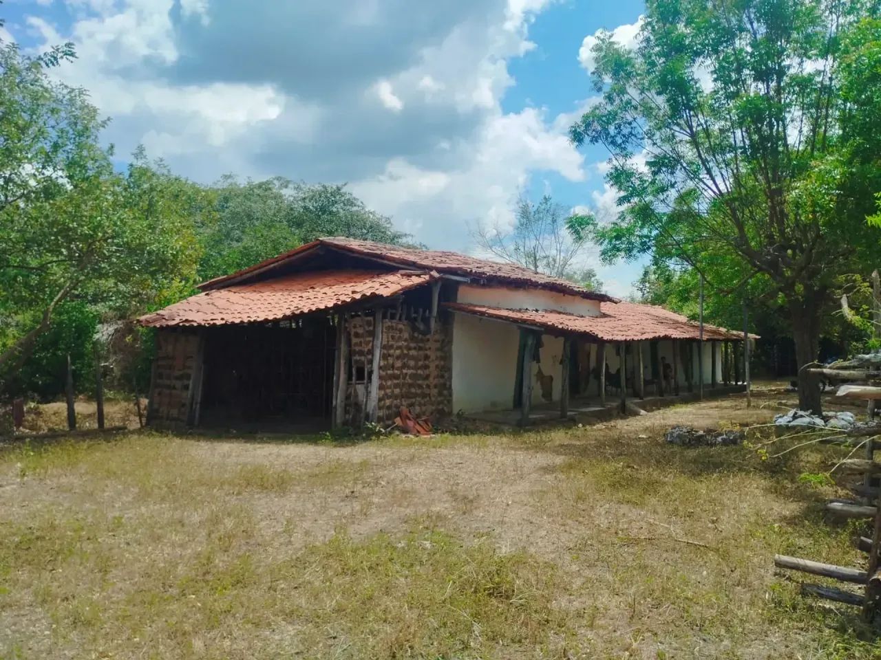 FAZENDA: Fazenda de 310 hectares a venda na beira do rio em Chapadinha-MA - Foto 8