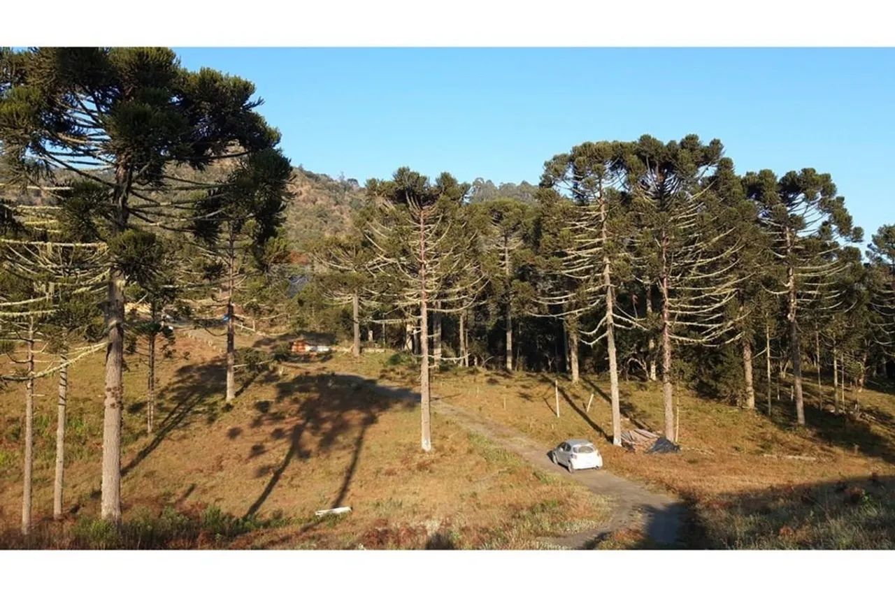 Terreno em Paraíso da Serra - Natureza e Oportunidade!
