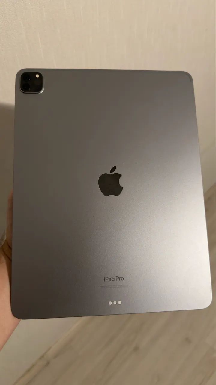 IPad Pro 6a geração Wi-Fi A2436 Chip M2 256GB 12,9