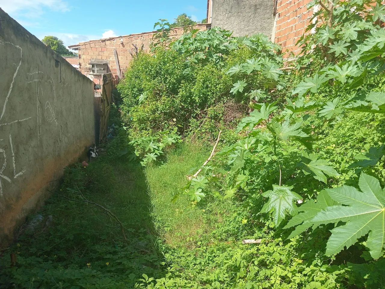 Casa a venda no Jacintinho  - Foto 4
