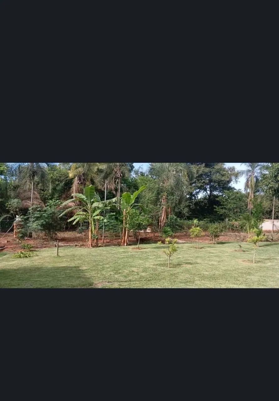 VENDO CHÁCARA EM POSSELANDIA  - Foto 5