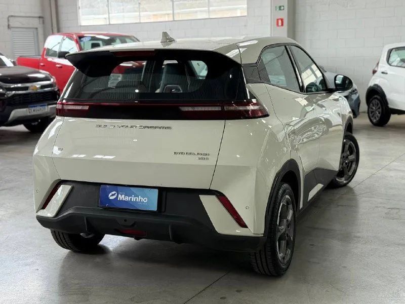 BYD Dolphin Mini (Elétrico) 2025 - Foto 3