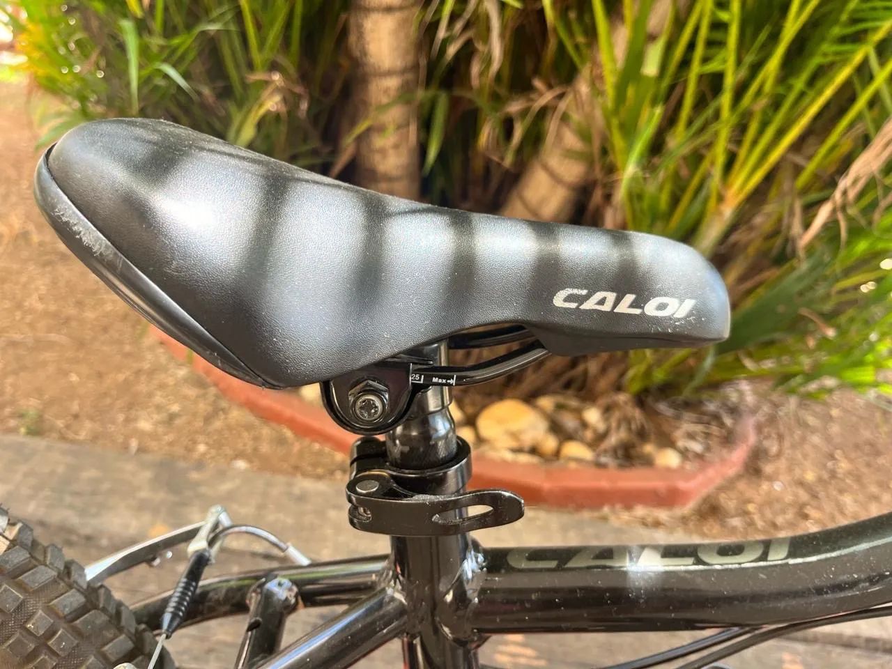 CALOI WILD ARO 20 - Foto 4