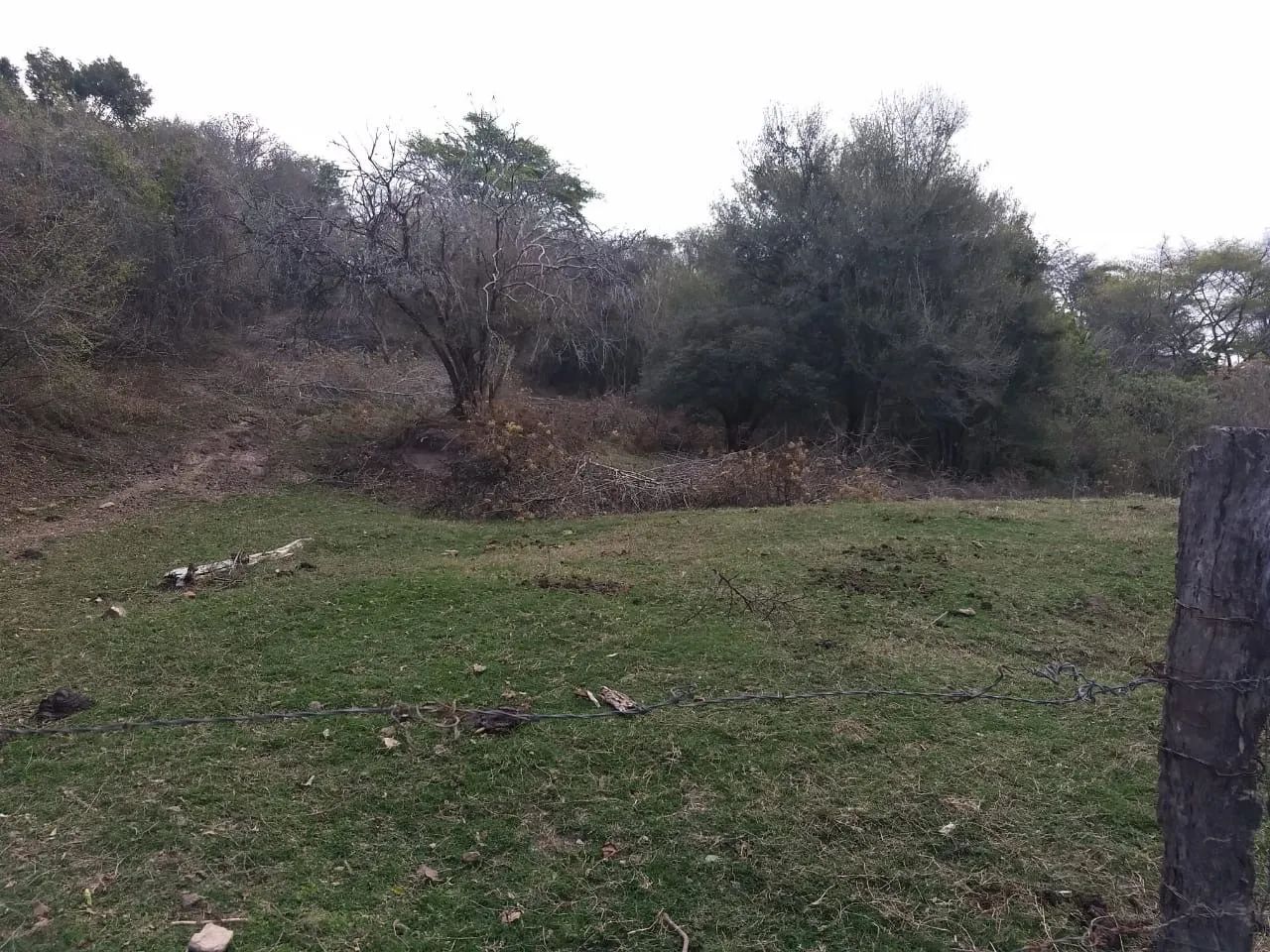 Sítio  - Foto 3