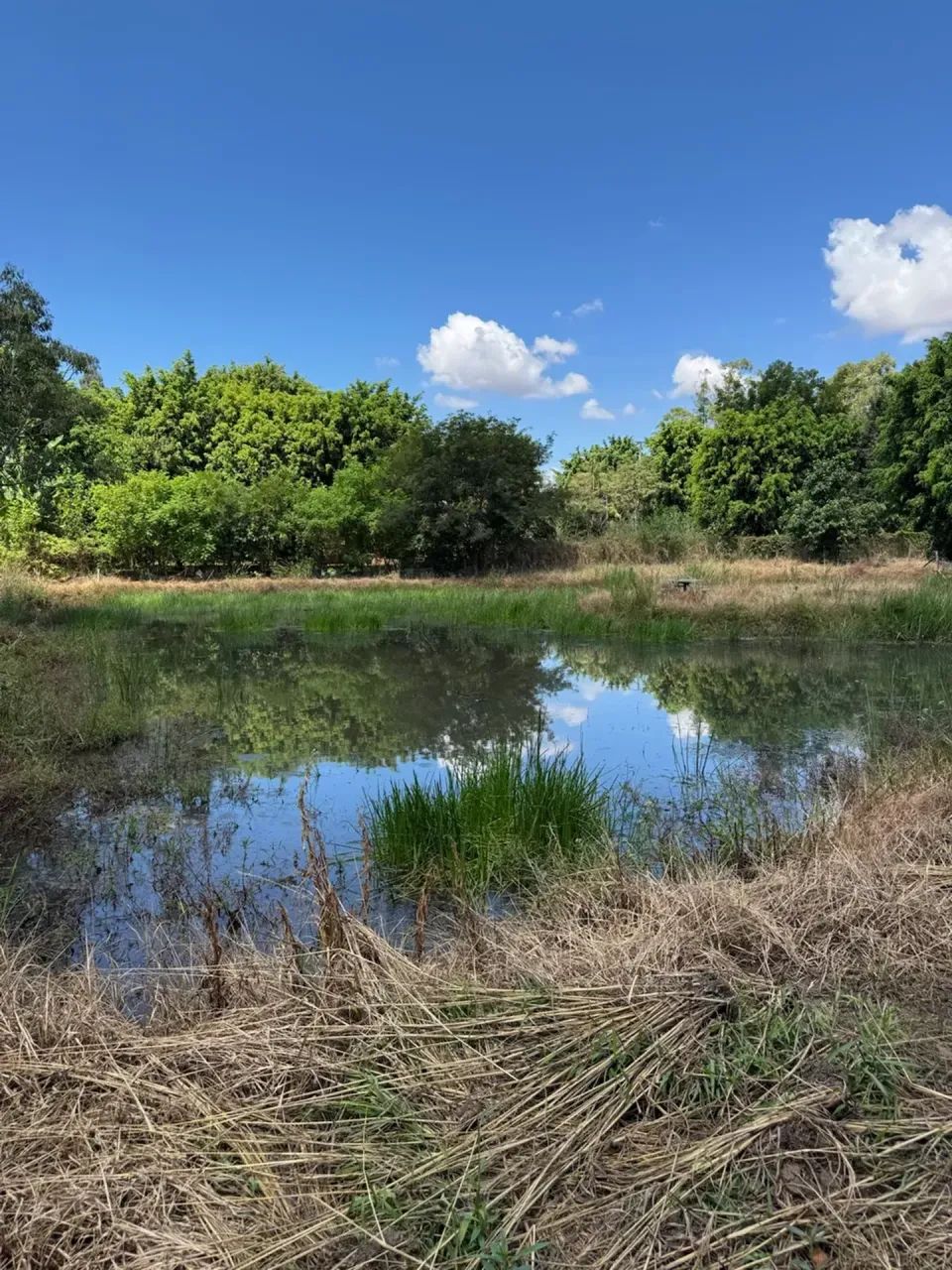 Chacara a venda em Jardim Alegre PR - Foto 2