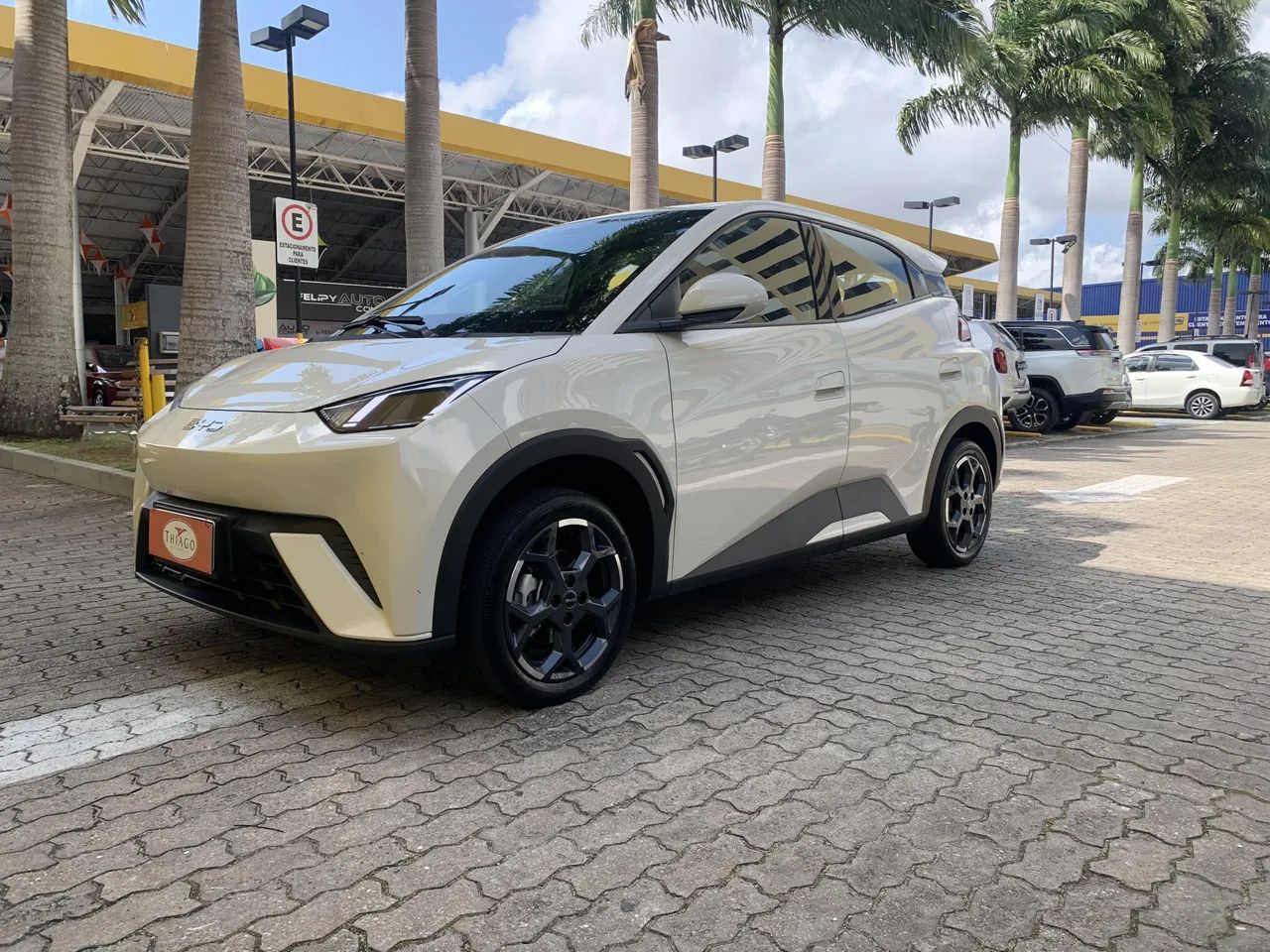 BYD Dolphin Mini GL 2026 - Foto 5