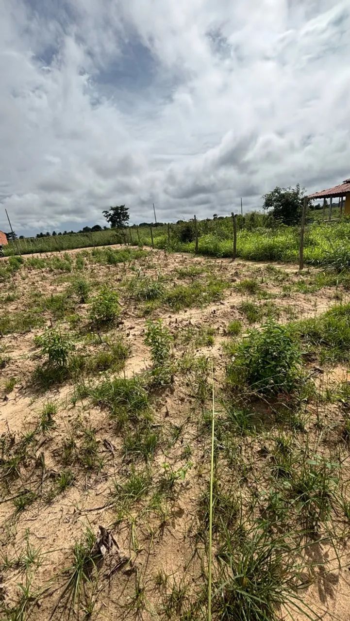 Venda de terreno - Foto 2