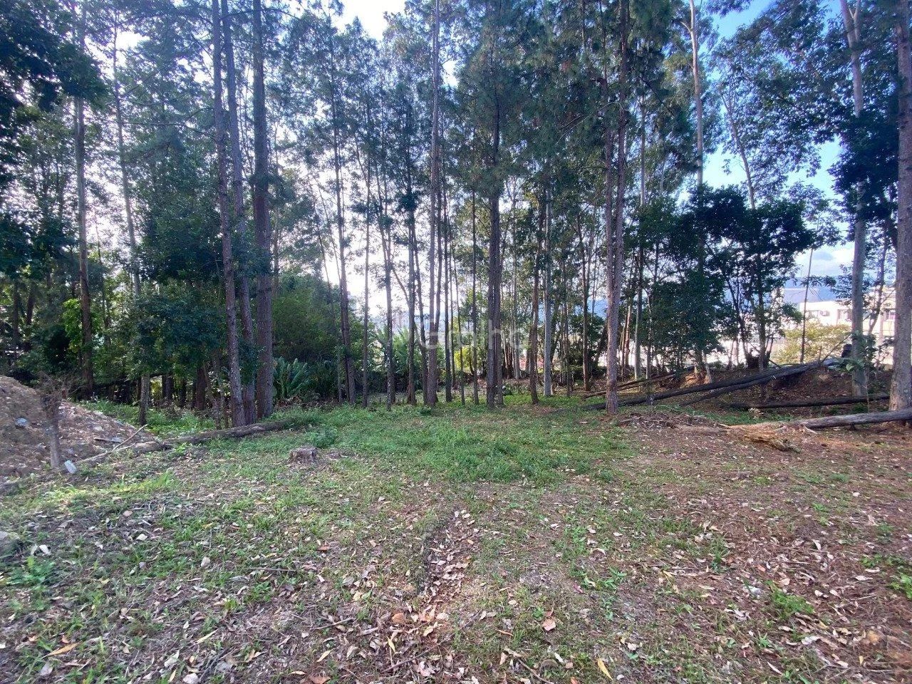 Terreno de 1.500m² no Pantanal - Foto 5