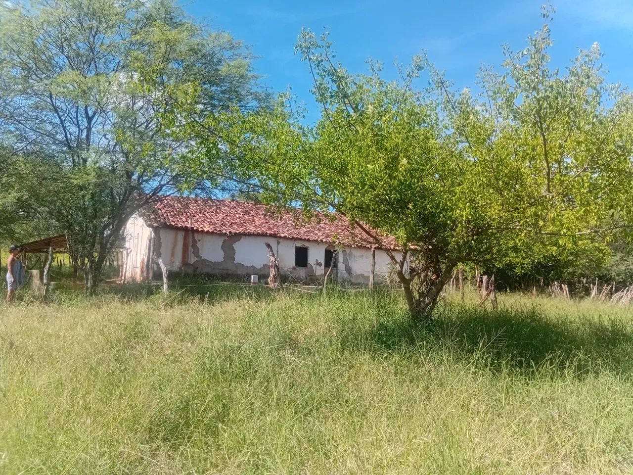 Vende -se Sitio Documentado com Rio,Casa e acesso internet  - Foto 4