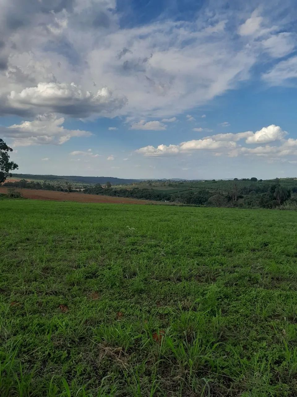 Chacaras na região da varginha divisa com igarape  - Foto 3