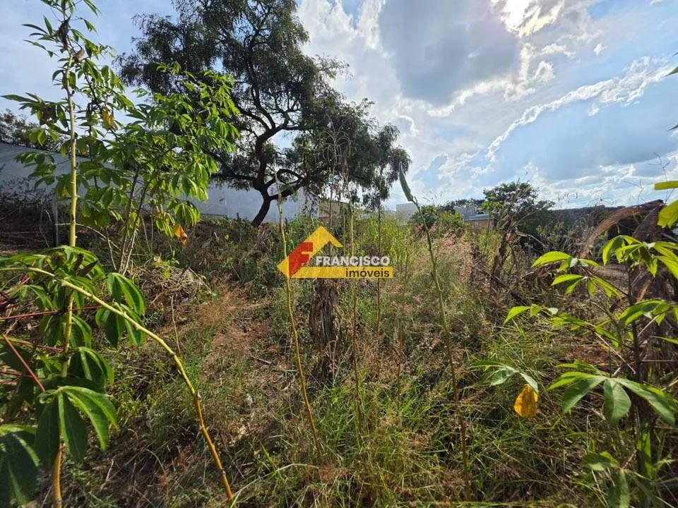 Lote à venda, Santa Marta - Divinópolis/MG - Foto 4