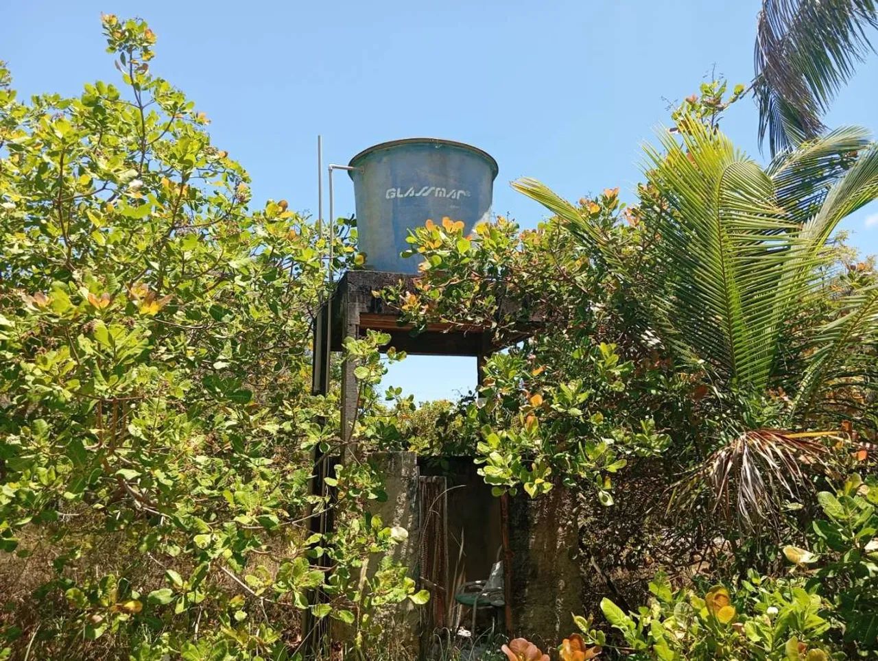 Sítio no povoado Angelim, Santo Amaro Das Brotas-SE - Foto 4