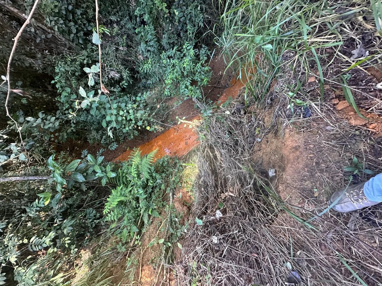 Vendo 1 chacara em Sete Lagoas Mg  - Foto 3