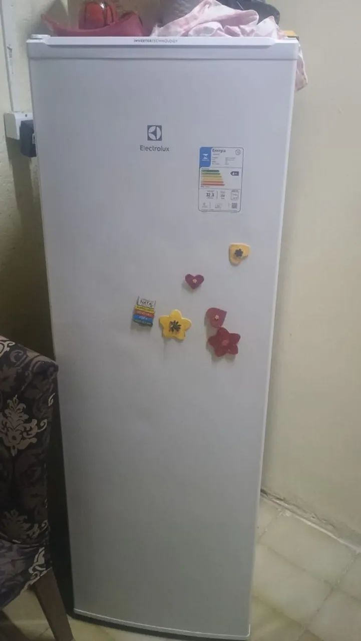 Freezer Vertical Electrolux 234\ L Perfeito