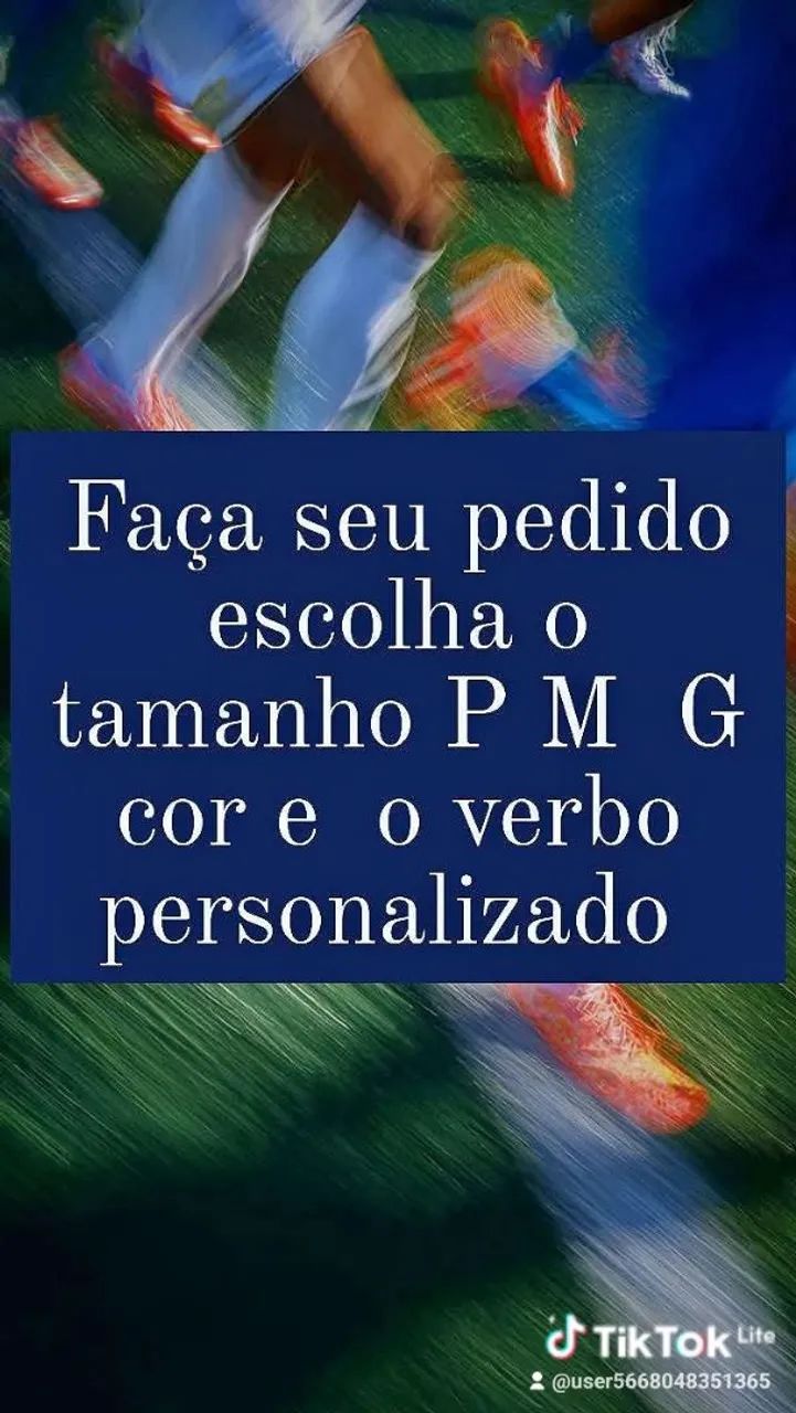 Camisa Fênix  personalize.top linha