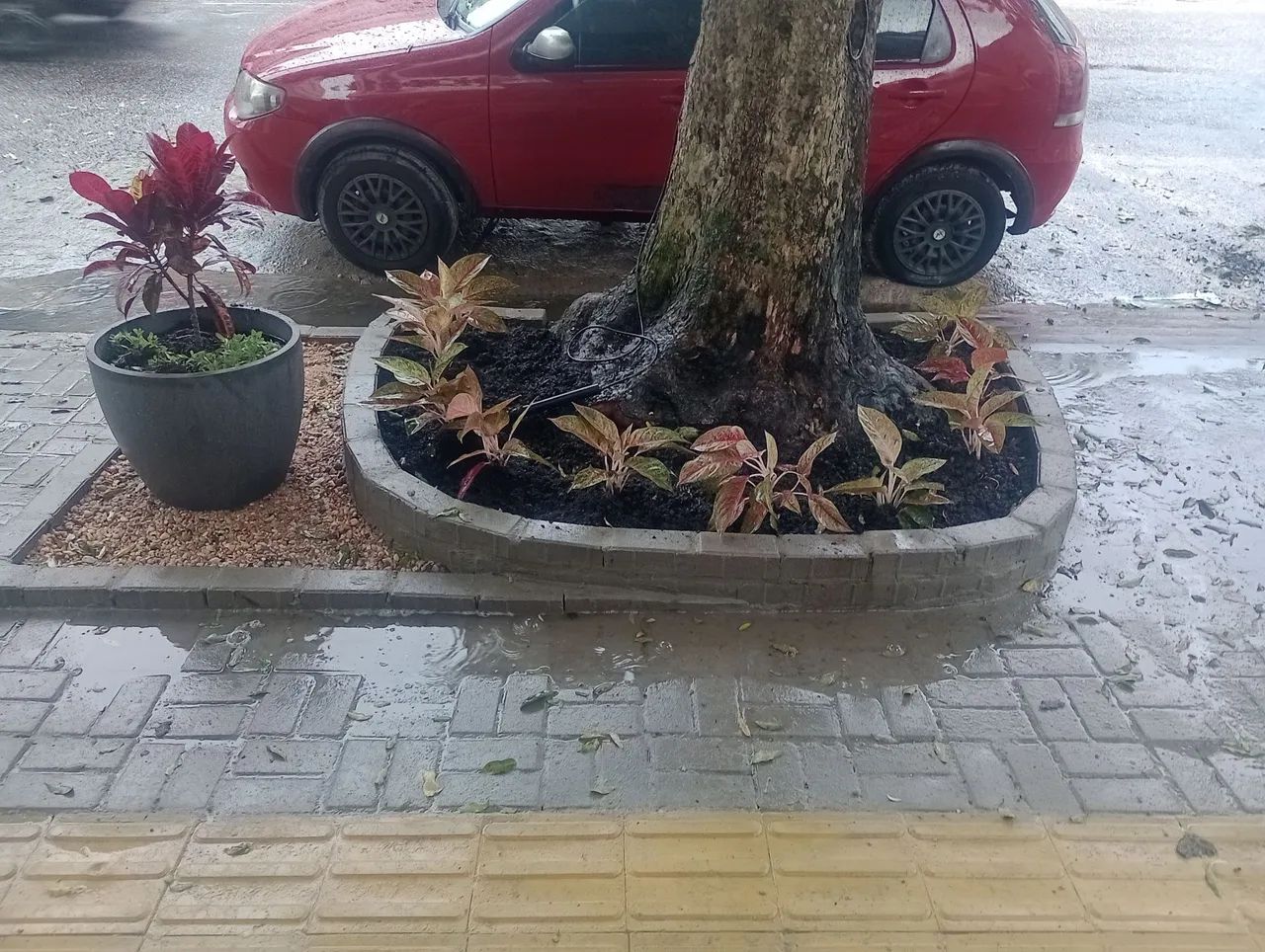  jardineiro. 